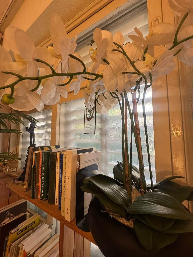 Whatsapp Image 2025 01 27 At 13.24.35